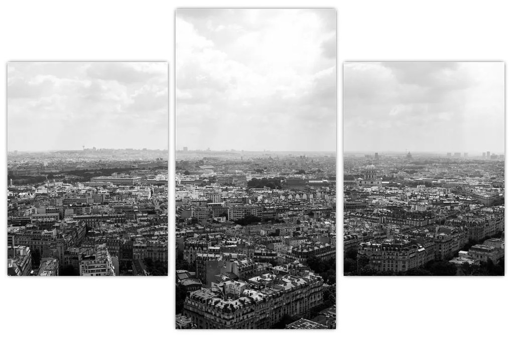 Tablou - Acoperișuri clădirilor din Paris (90x60 cm)