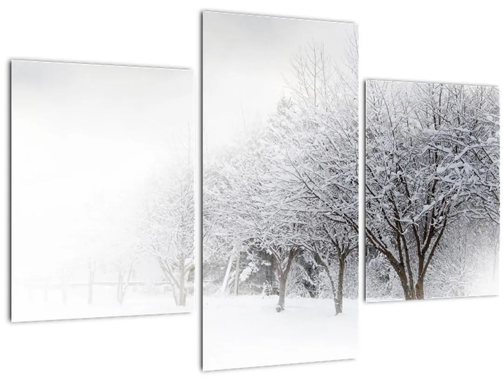 Tablou - Aleea de iarnă (90x60 cm)