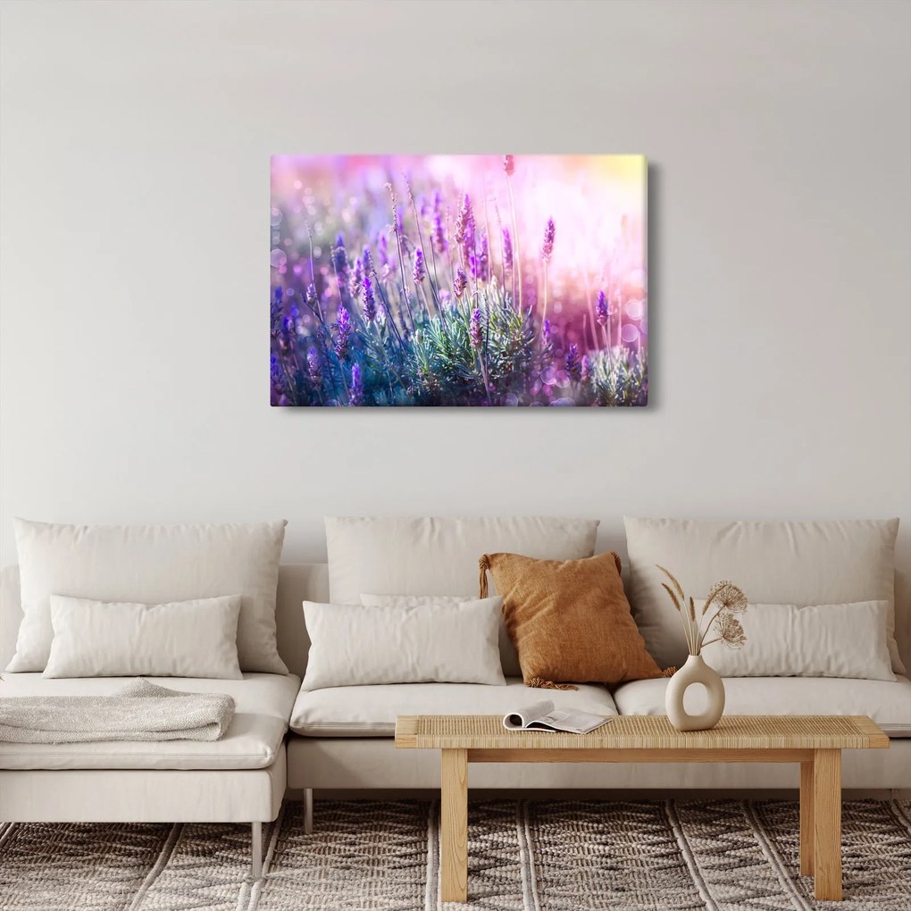 Tablou - Lavandă în strălucirea soarelui (90x60 cm)