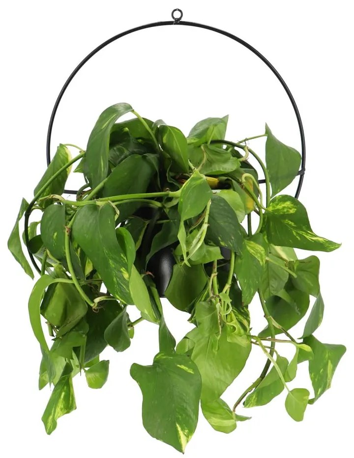 Suport de perete pentru ghiveci Esschert Design Planter, negru