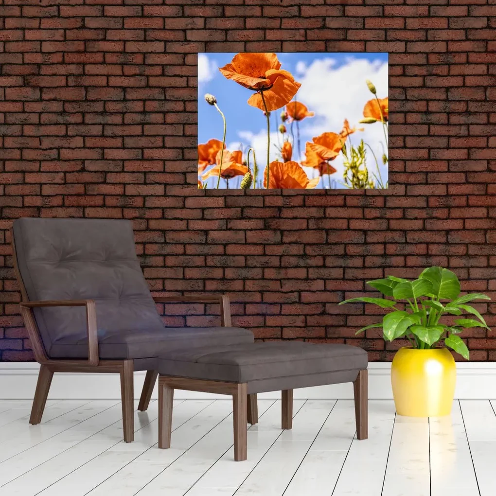 Tablou cu macii (70x50 cm)