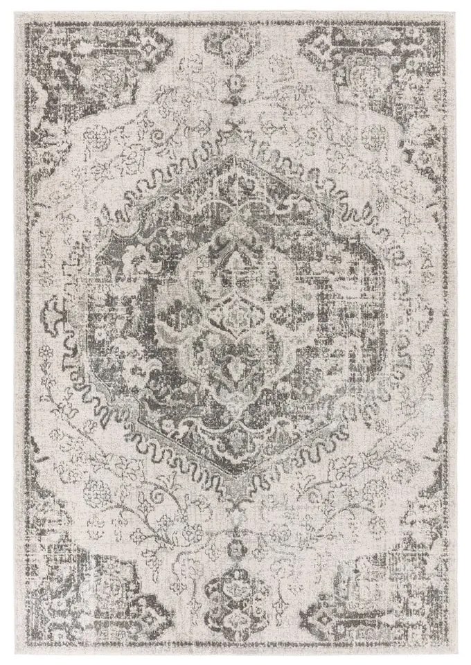 Covor gri/crem 160x230 cm Nova – Asiatic Carpets