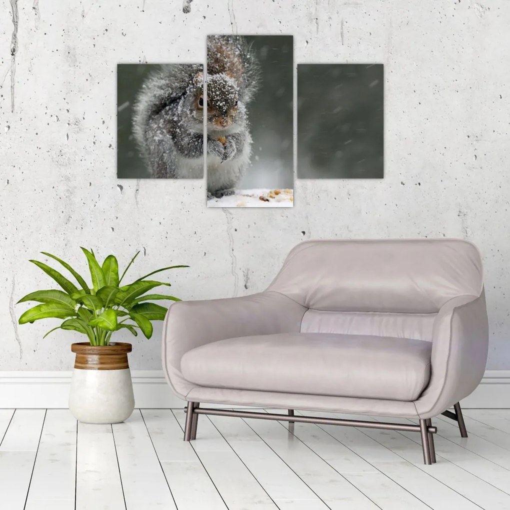 Tablou - Veveriță iarna (90x60 cm)