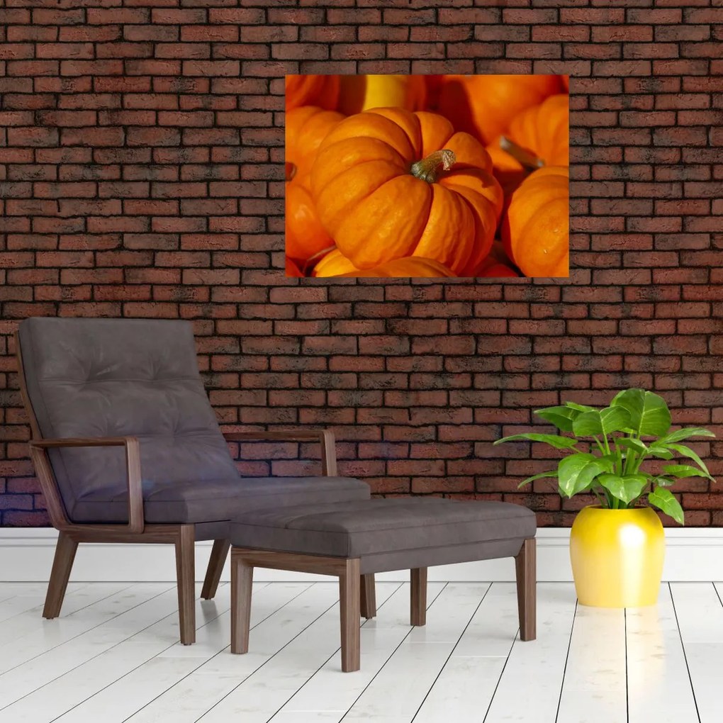 Tablou - Dovleci mari (70x50 cm)