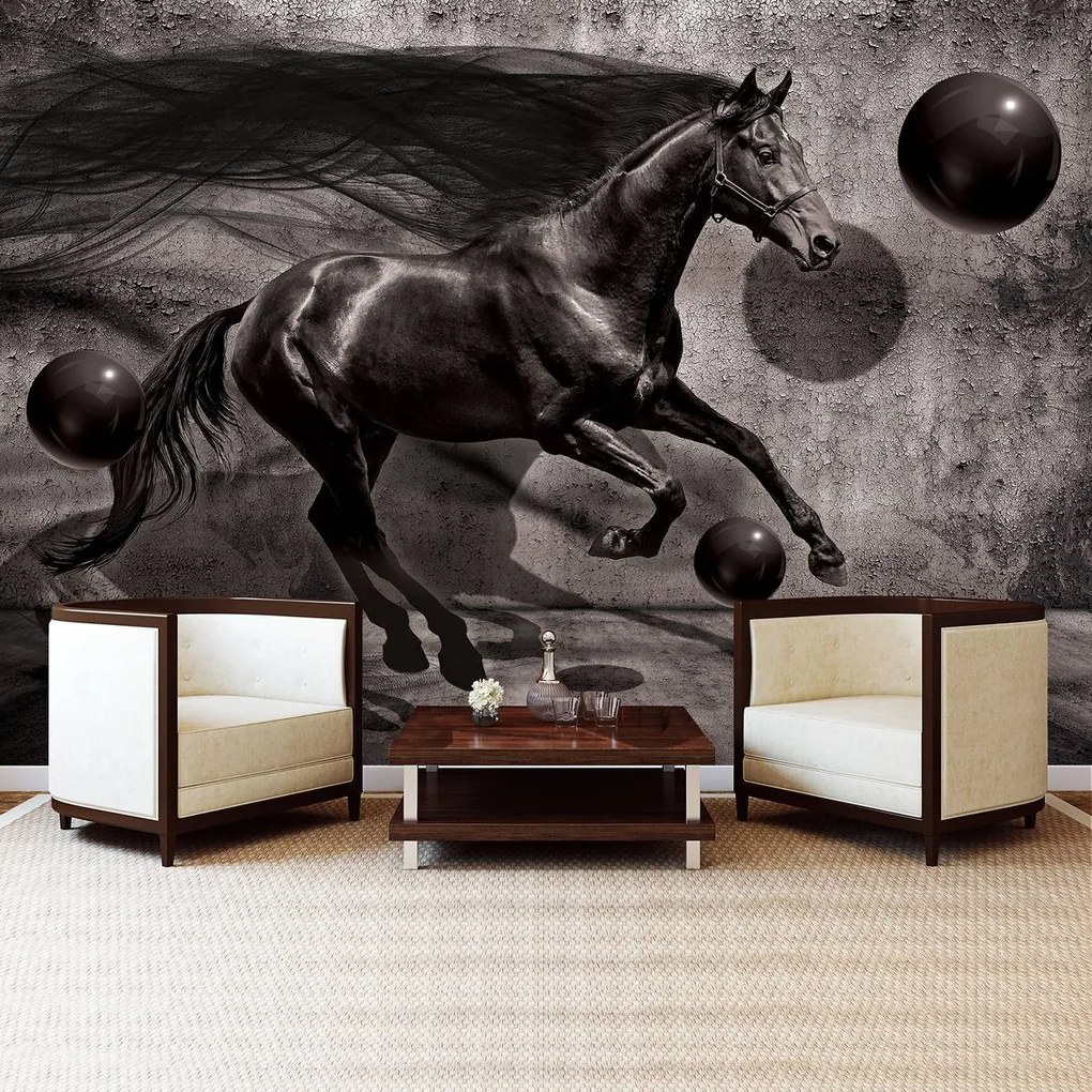 Fototapet - Calul negru (152,5x104 cm)