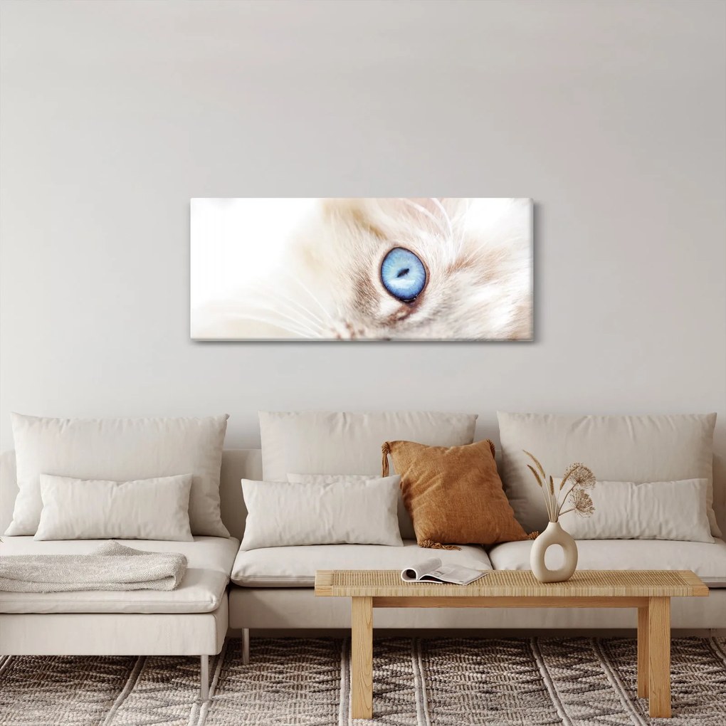 Tablou - Pisicuță (120x50 cm)