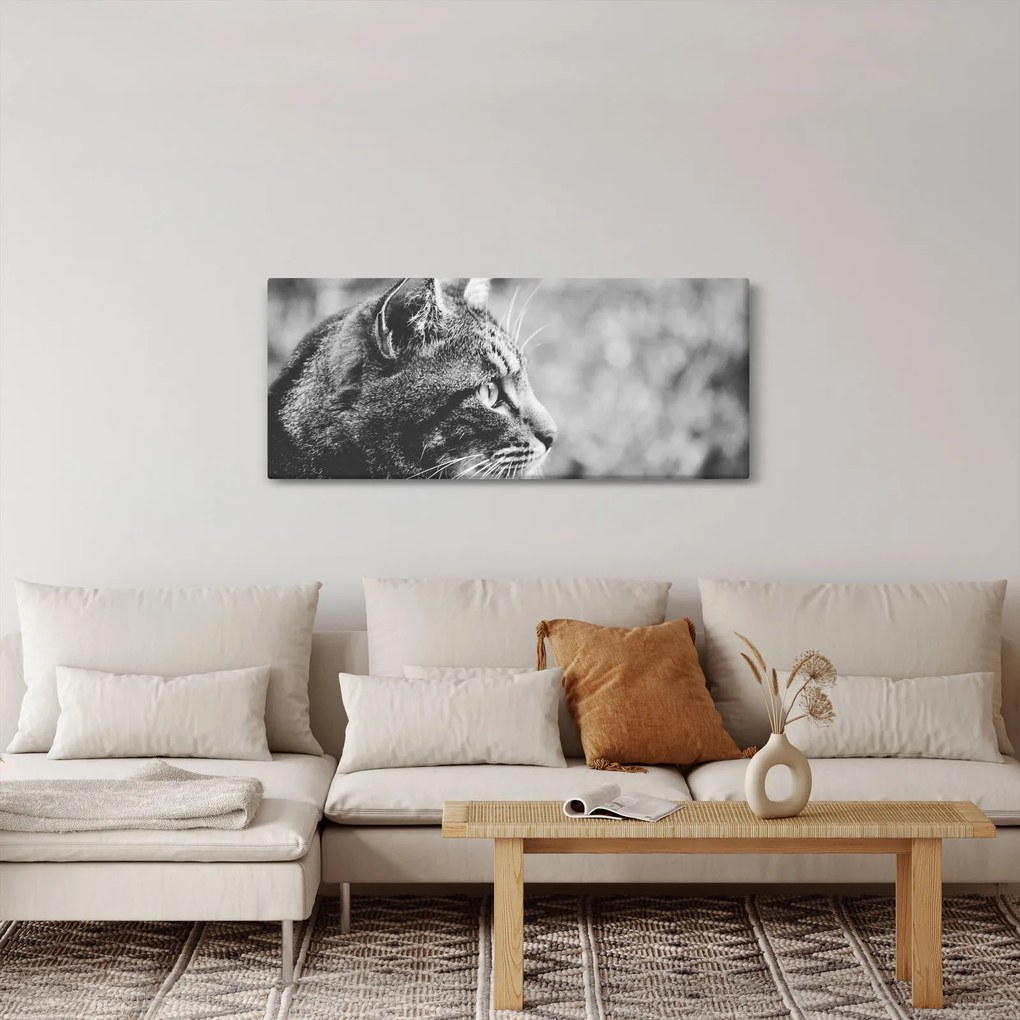 Tablou - Pisica (120x50 cm)