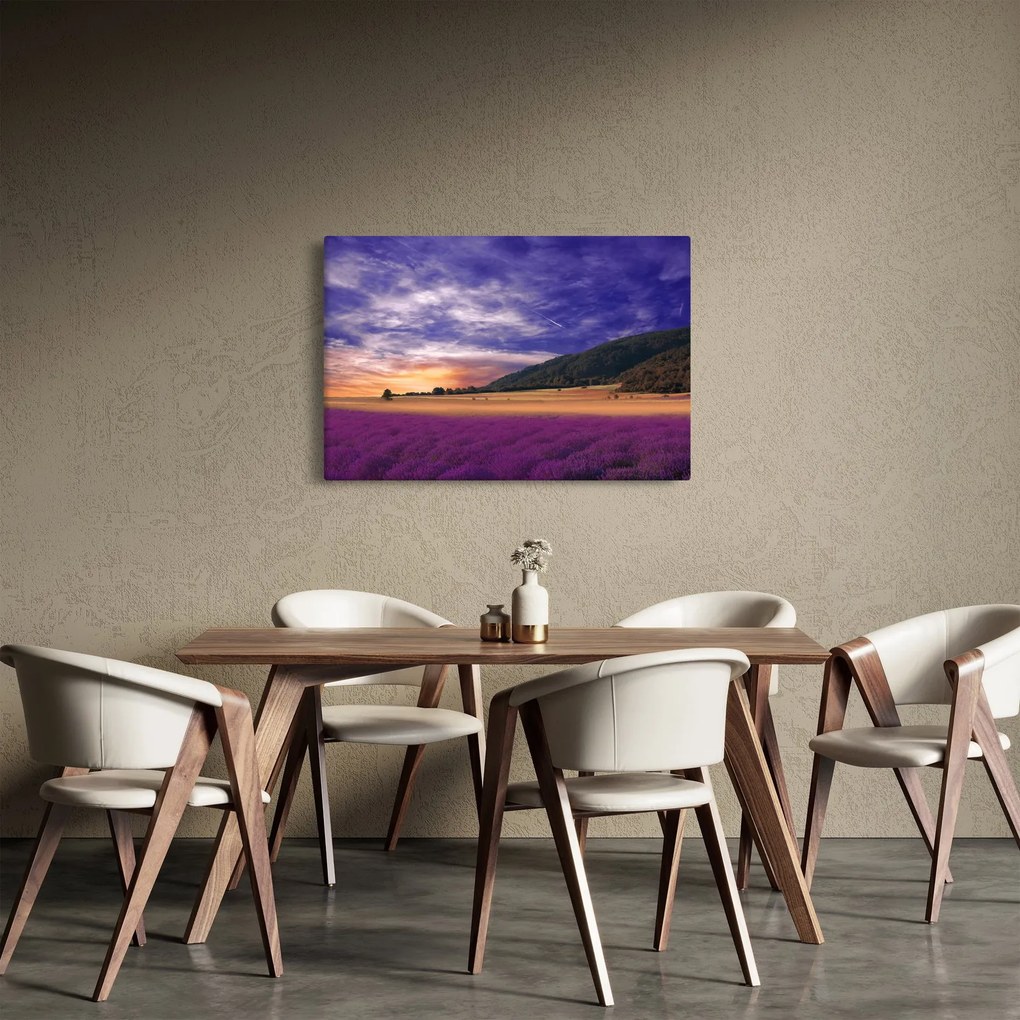 Tablou cu lunca cu lavandă (90x60 cm)