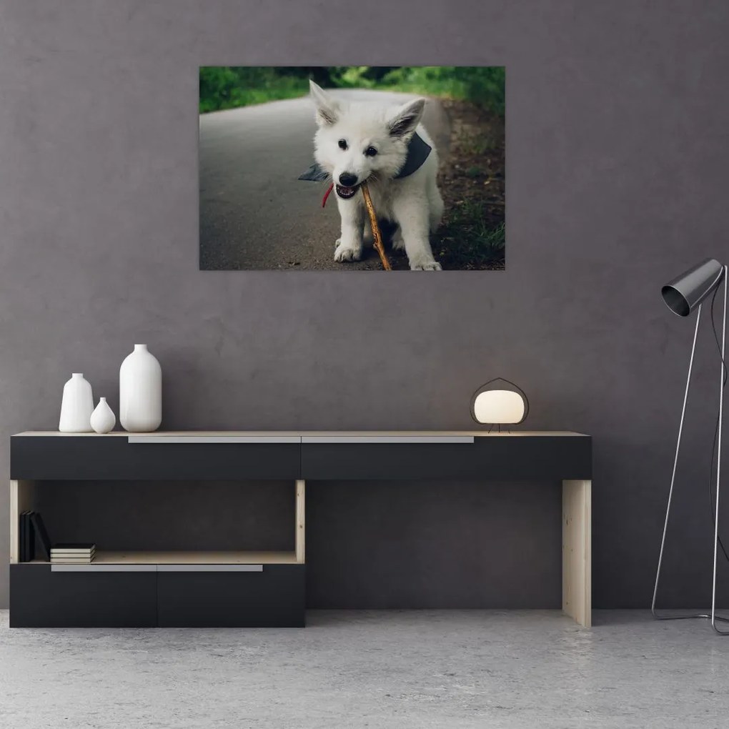 Tablou cu câinele alb (90x60 cm)