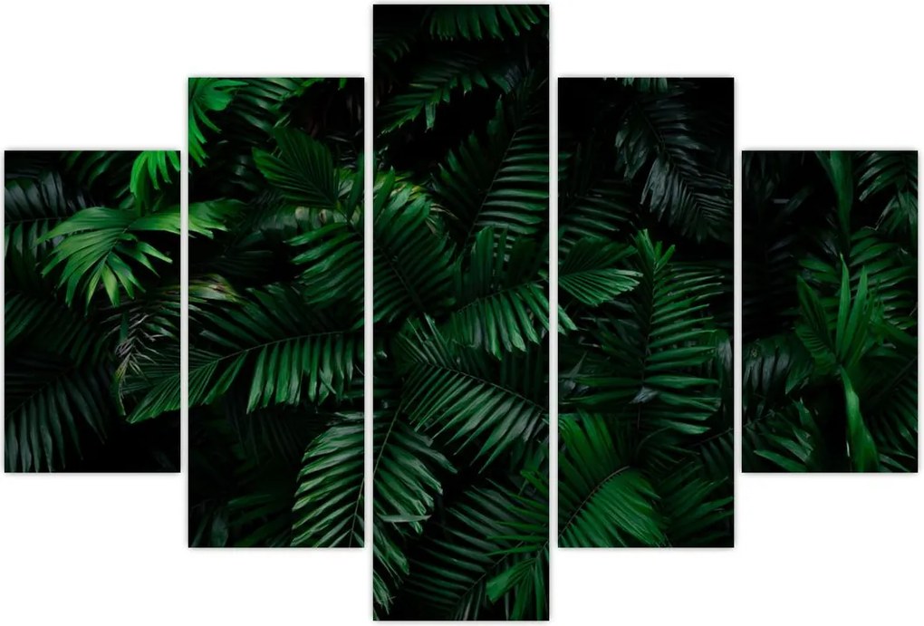 Tablou - Păpădii tropicale (150x105 cm)