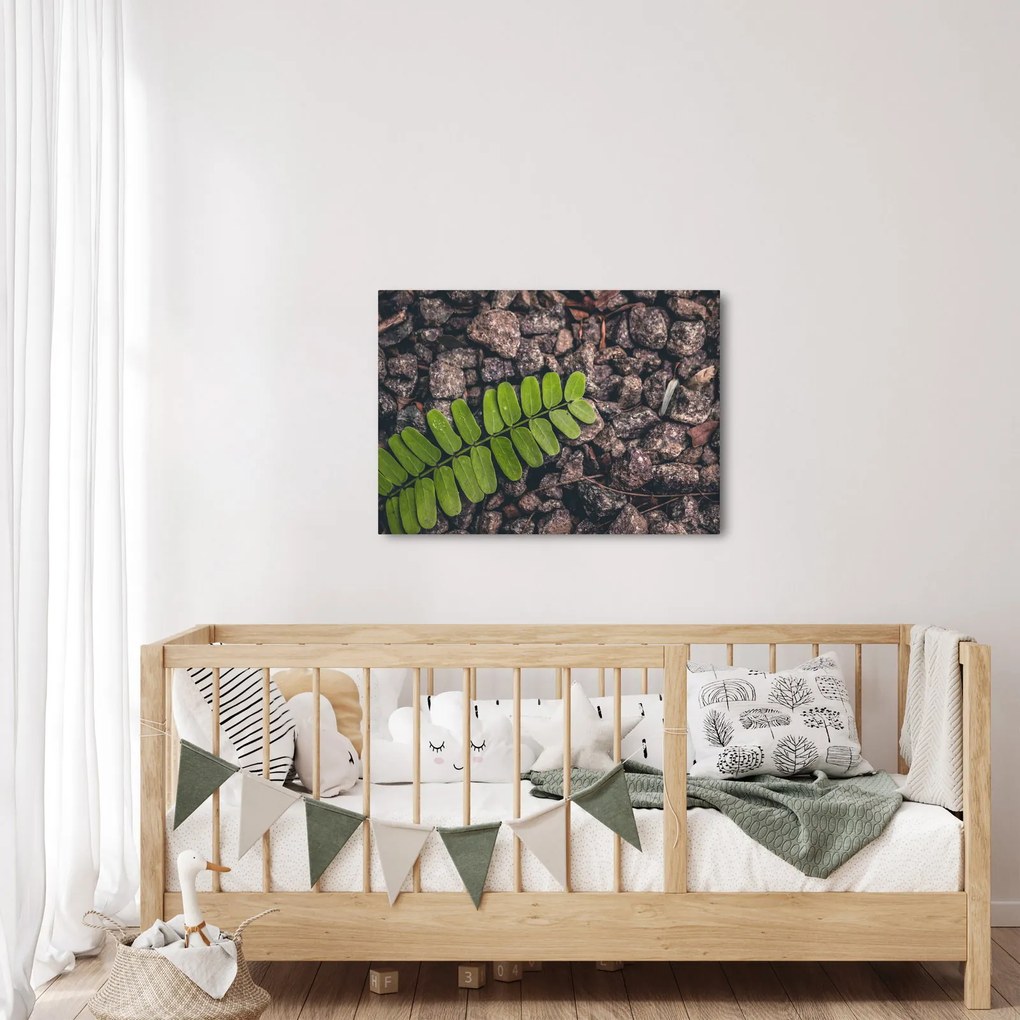 Tablou cu planta verde (70x50 cm)