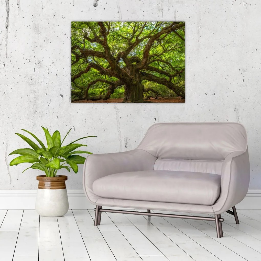 Tablou pe sticlă - Copac verde (70x50 cm)