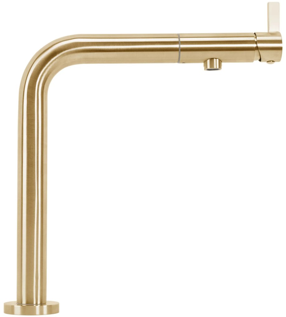 Baterie de bucătărie REA COLE Brush Gold