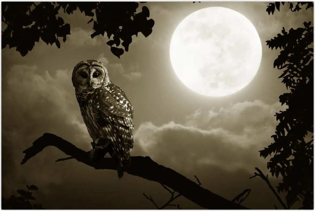 Tablou - Bufniță de noapte, auriu (90x60 cm)