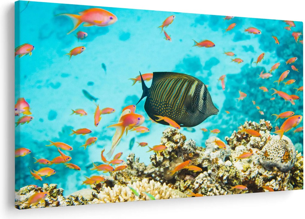 Tablou lumii submarine (90x60 cm)