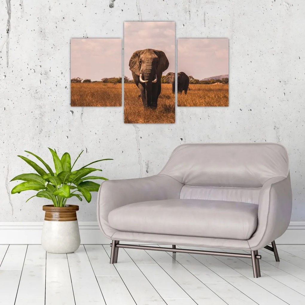 Tablou - Venirea elefantului (90x60 cm)