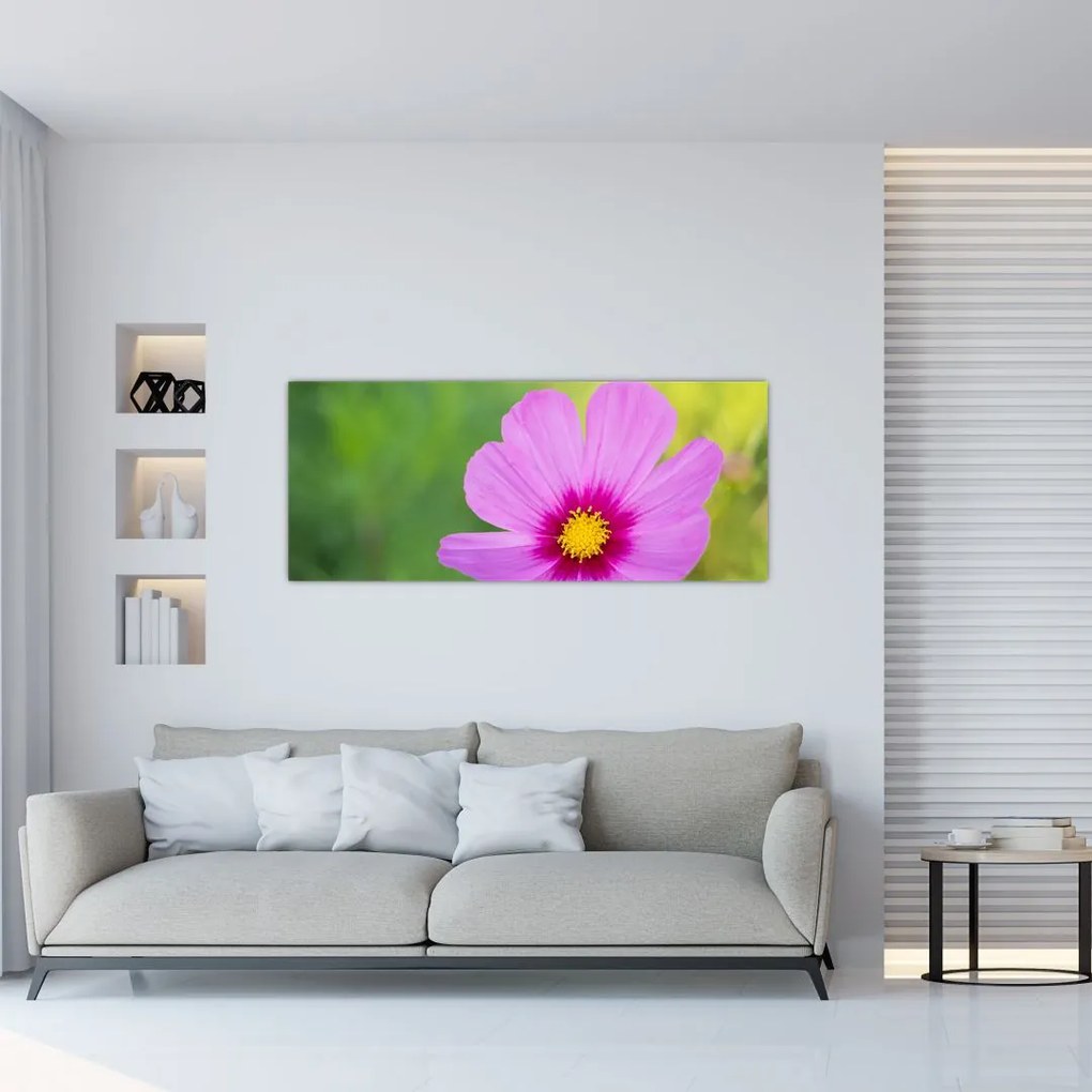 Tablou - floare de câmp (120x50 cm)