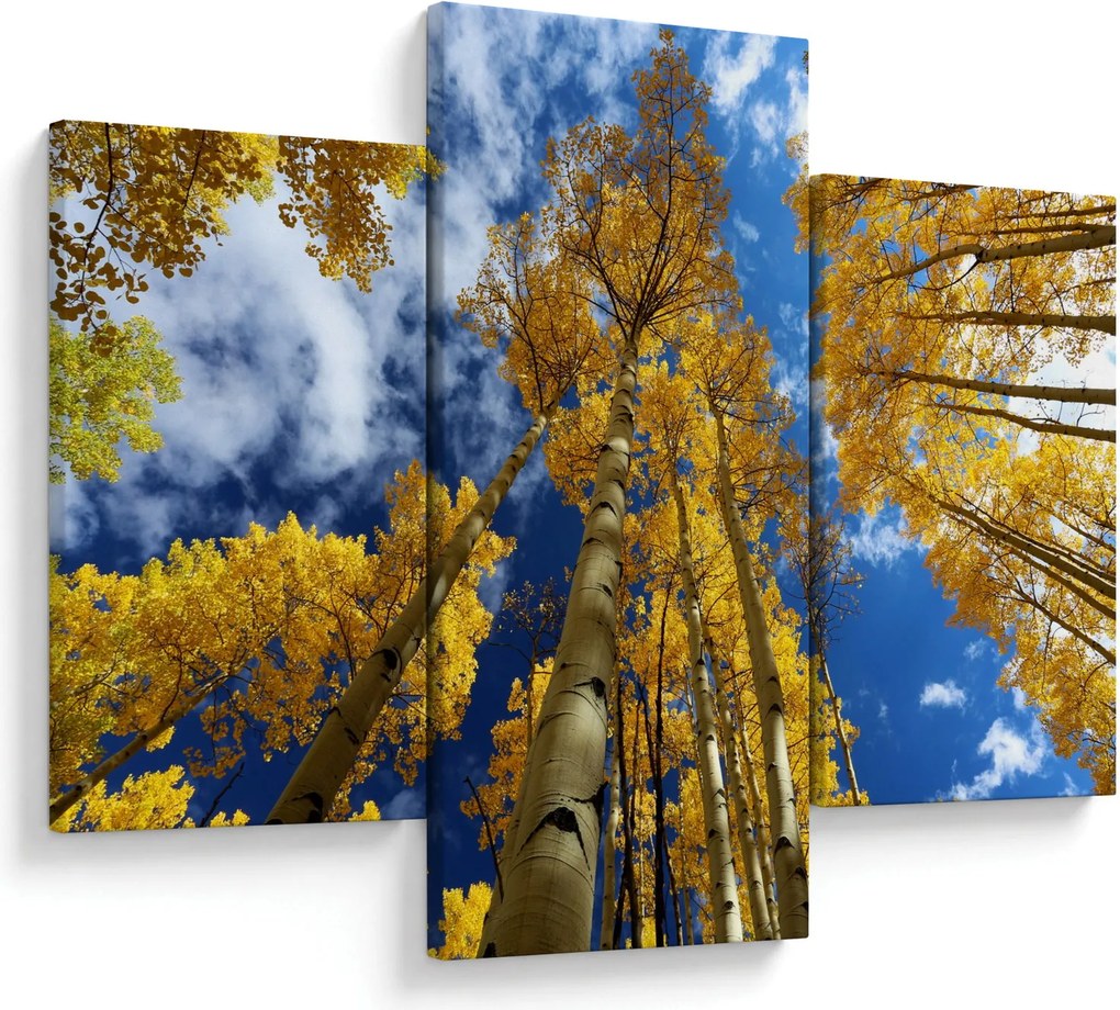 Tablou - Aspen (90x60 cm)