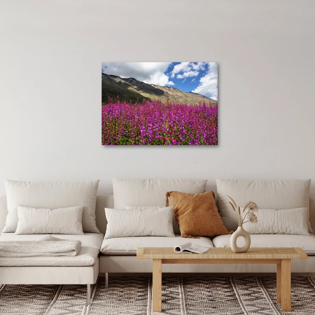Tablou sceneriei cu lunca montană (70x50 cm)