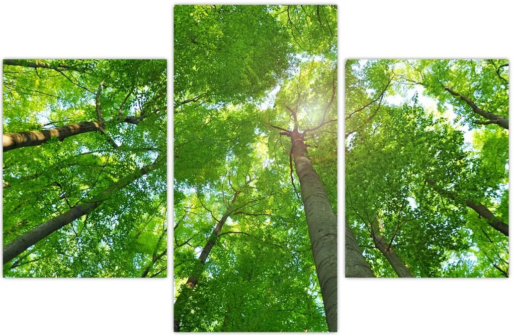 Tablou - Lunca (90x60 cm)