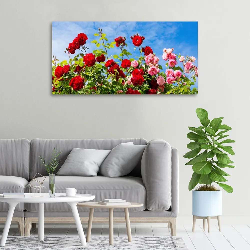 Tablou canvas Trandafiri sălbatici
