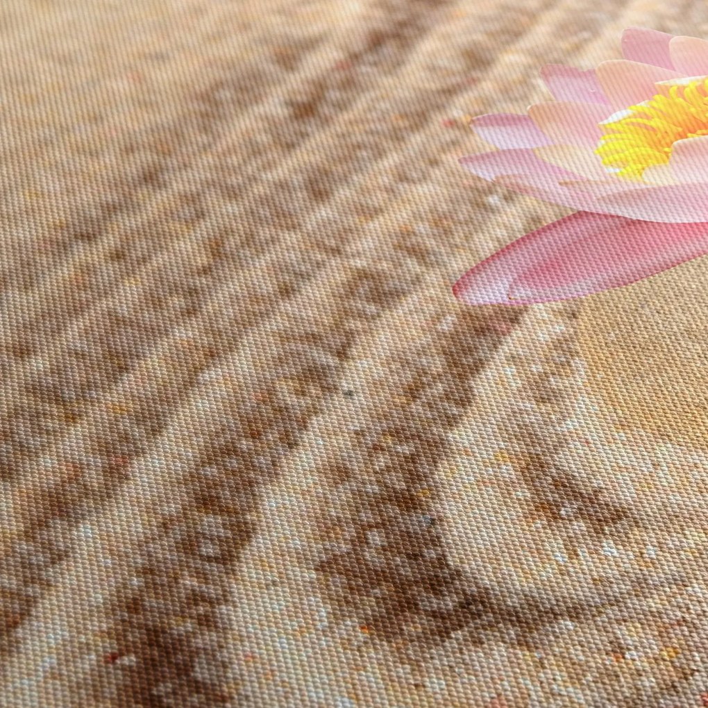 Tablou cu piatră și floare pe nisip (120x50 cm)