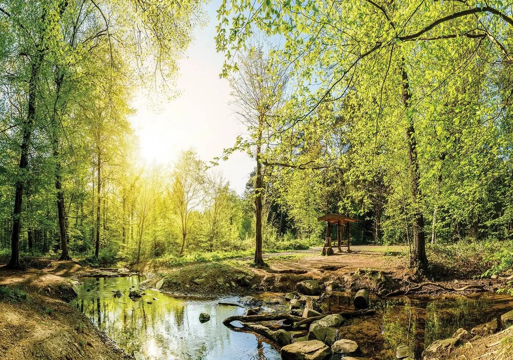 Fototapet - Pădurea verde (152,5x104 cm)