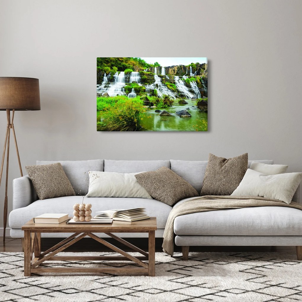 Tablou - cascade cu plante (90x60 cm)