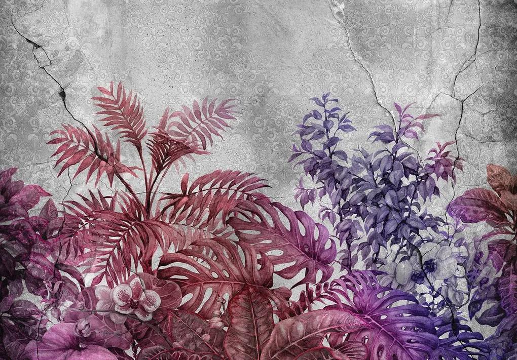 Fototapet - Plante pe beton - violete (254x184 cm), în 8 de alte dimensiuni noi
