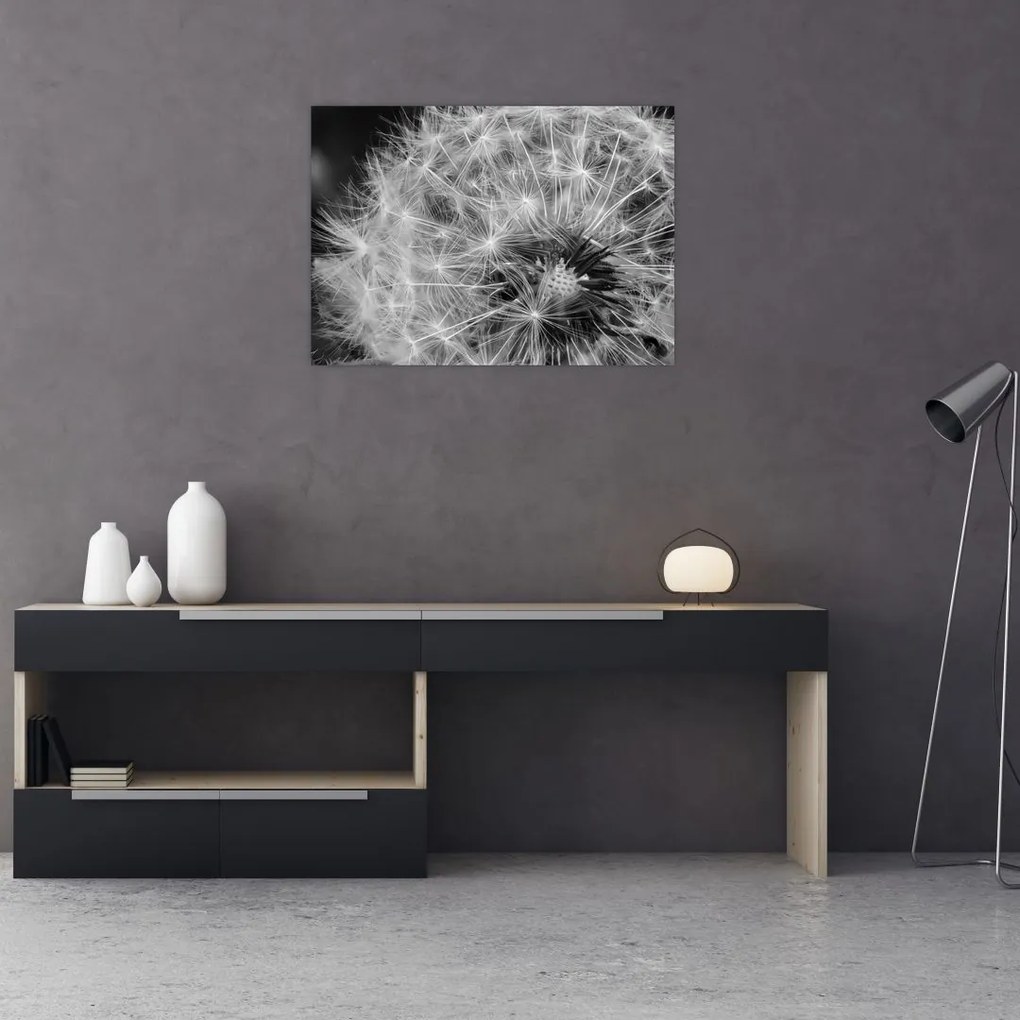 Tablou - mulțime de păpădii (70x50 cm)