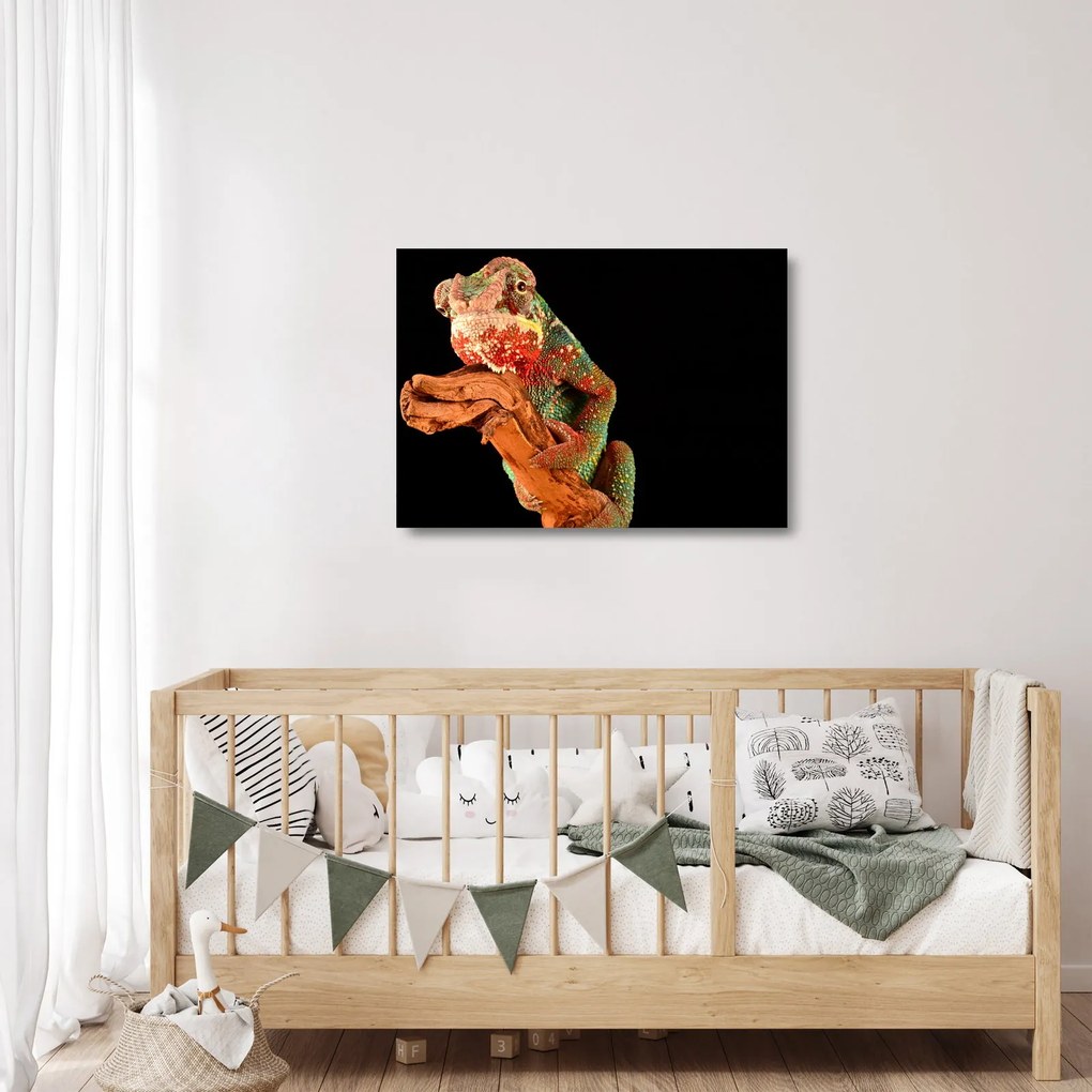 Tablou pe sticlă cu cameleon pe creangă (70x50 cm)