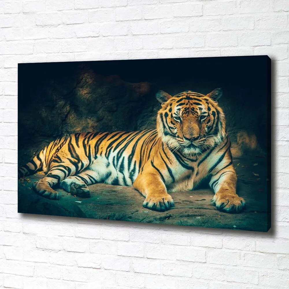 Imprimare tablou canvas Tiger cave