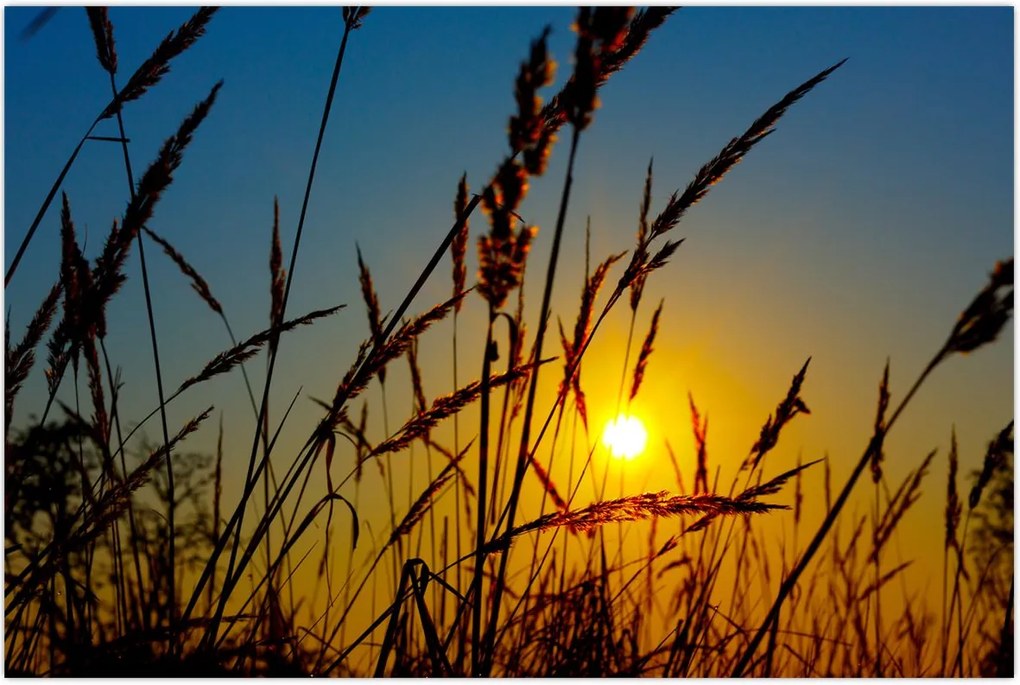Tablou - Apus de soare pe pajiște (90x60 cm)