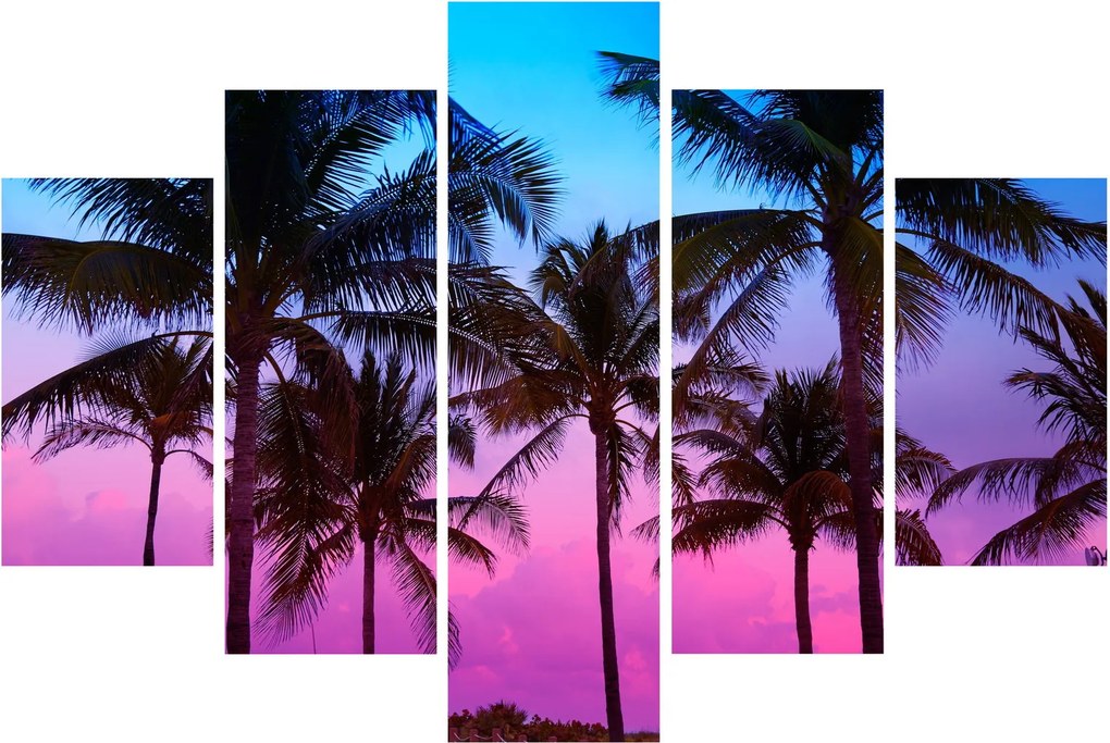 Tablou - Palmieri din Miami (150x105 cm)