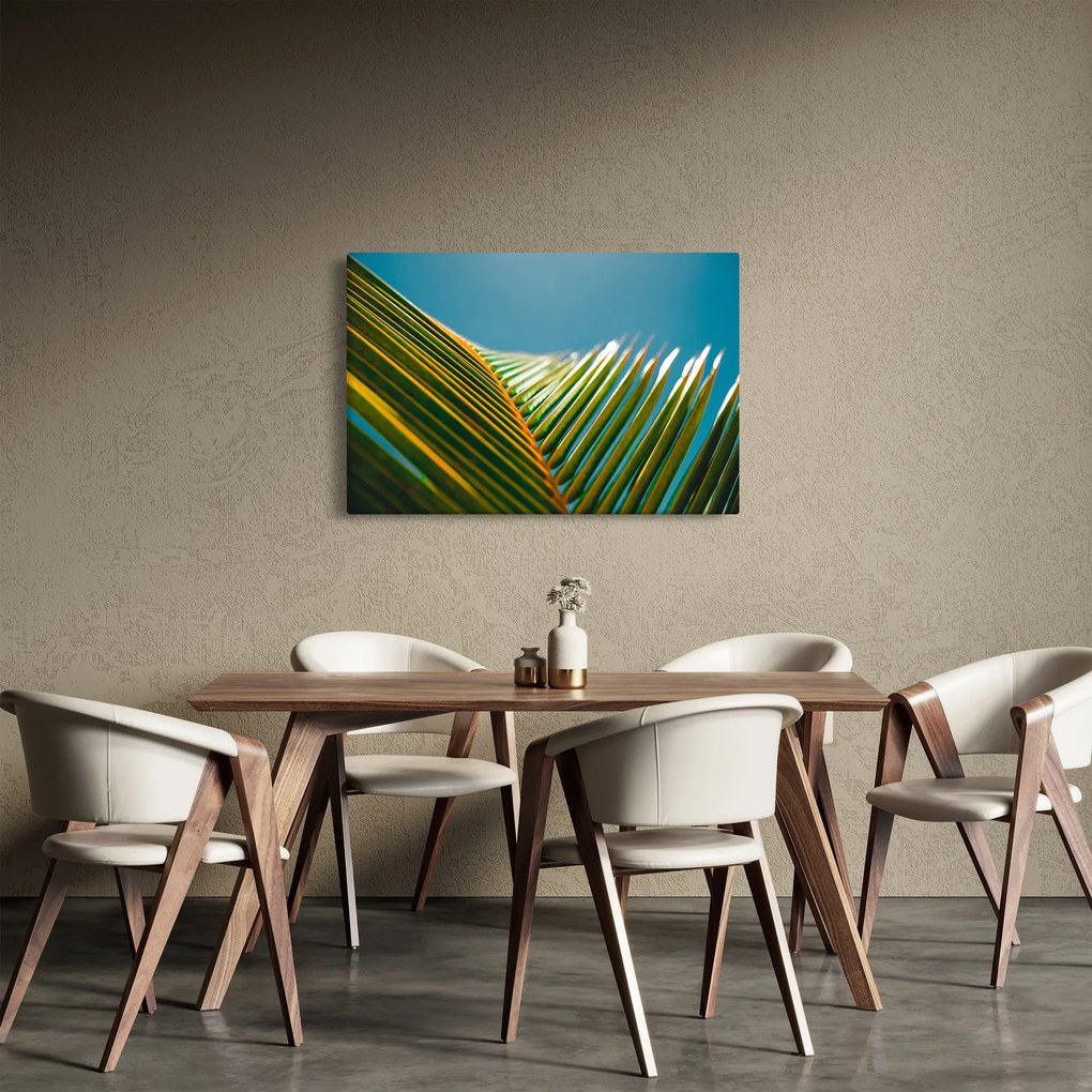 Tablou - Frunze de palmier (90x60 cm)