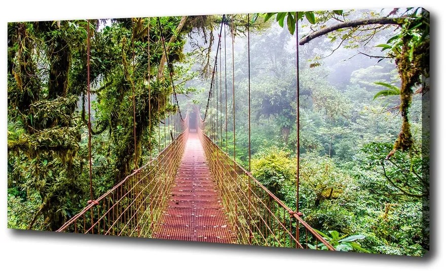 Print pe canvas Bridge în tropice