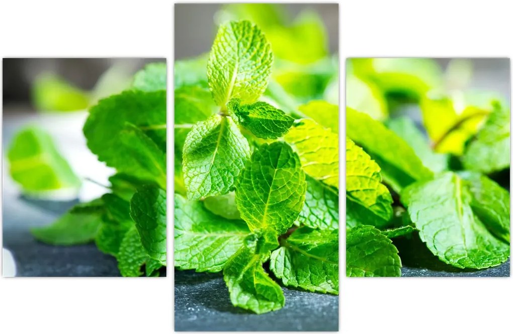 Tablou metnă (90x60 cm)