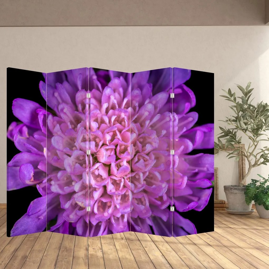 Paravan - Floare detailat (210x170 cm)