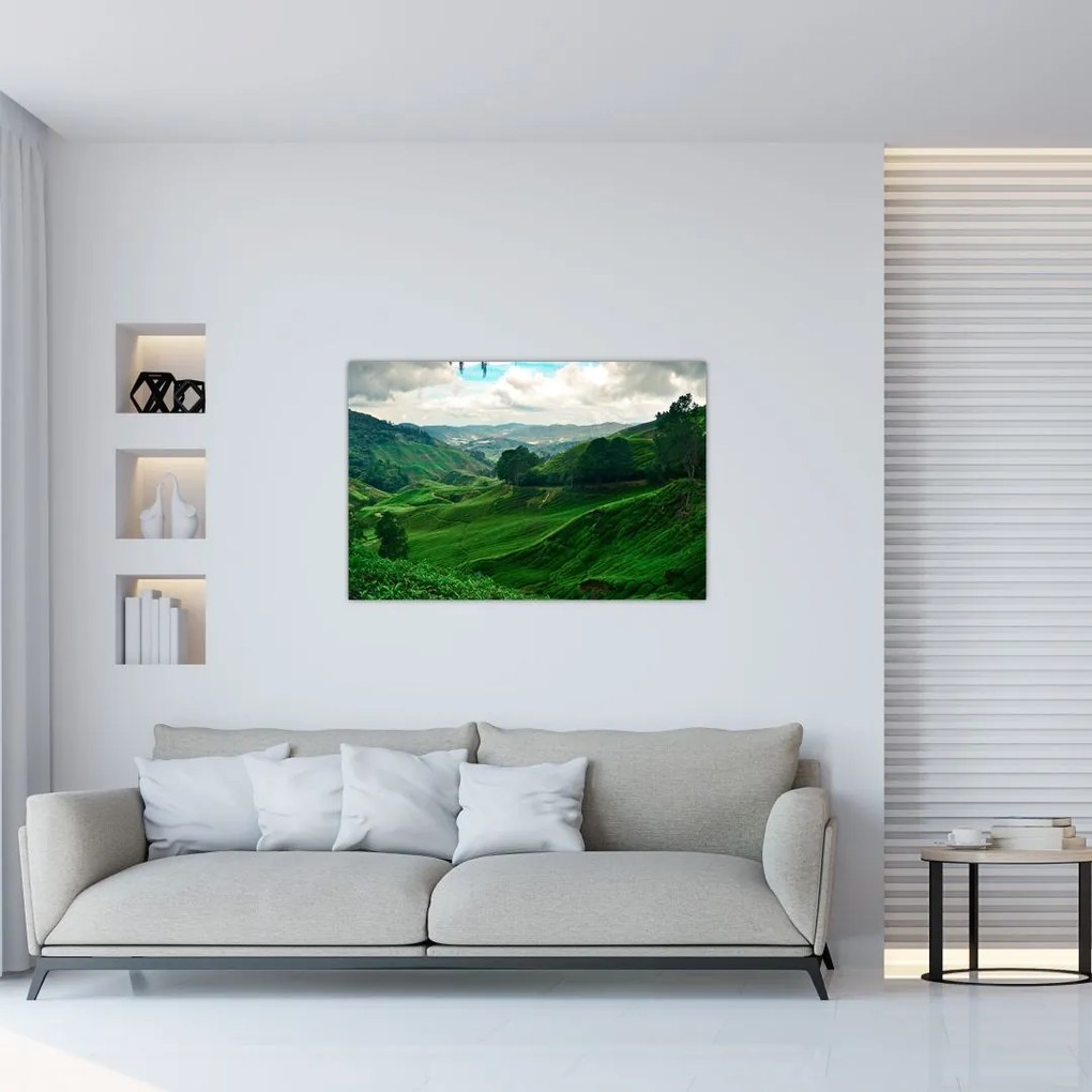 Tablou Plantații de ceai - Malaezia (90x60 cm)
