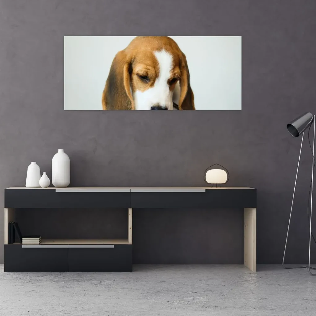 Tablou cu bigl (120x50 cm), în 40 de alte dimensiuni noi