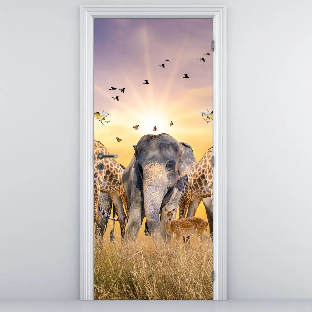 Fototapet pentru ușă - Animele di Africa (95x205cm)
