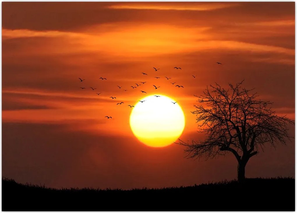 Tablou - Apus de soare (70x50 cm)