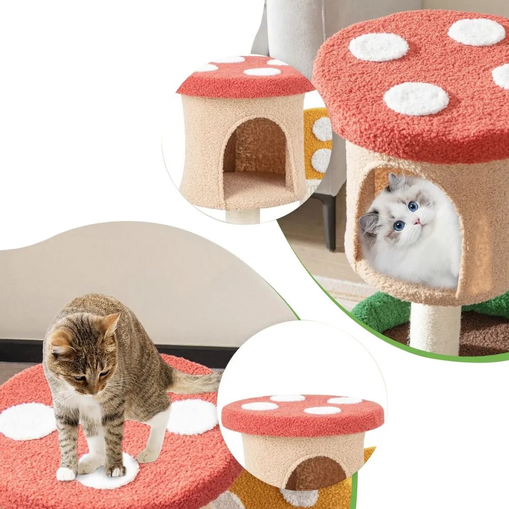 Ciuperca de escaladă pentru pisici