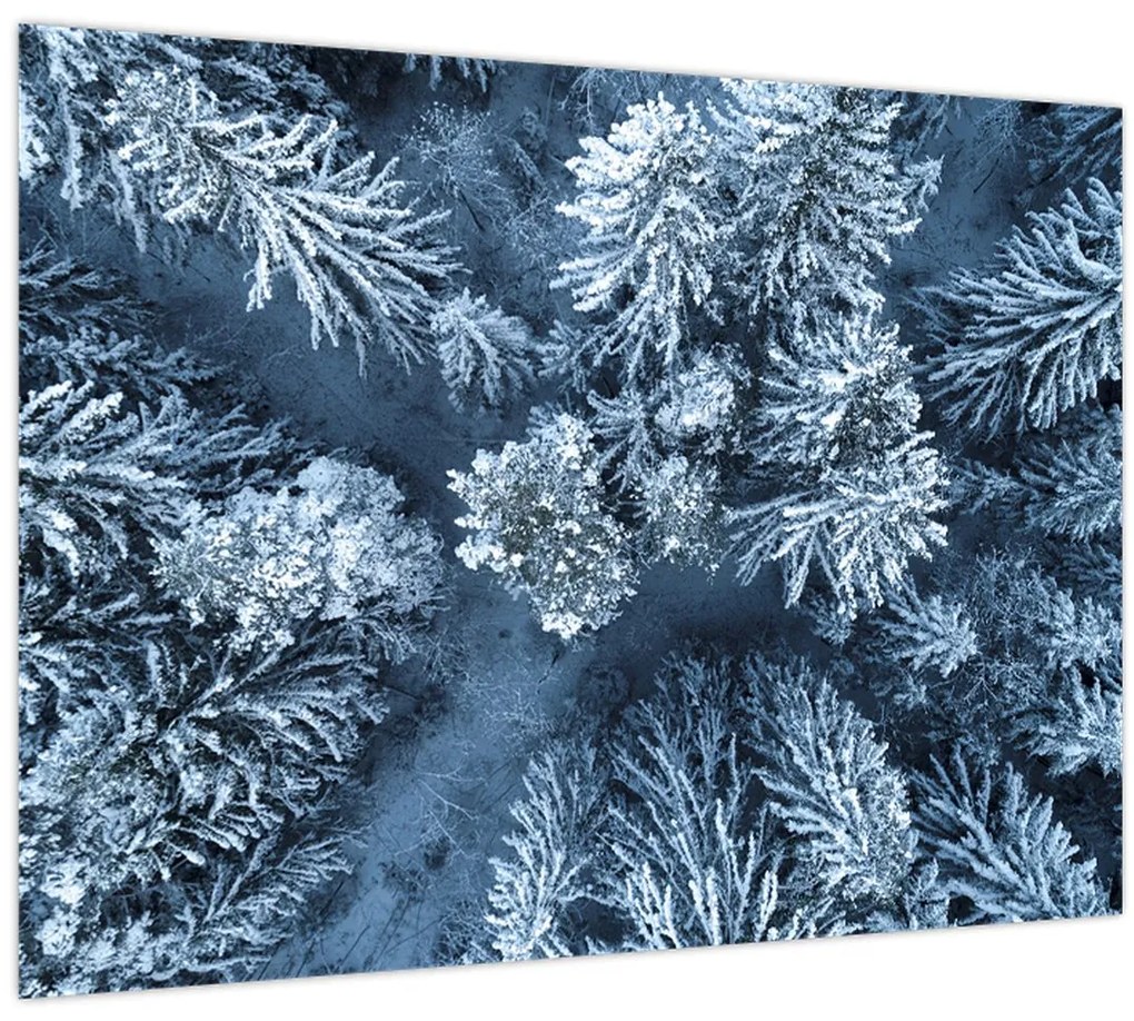 Tablou - Pădure înzăpezită (70x50 cm)