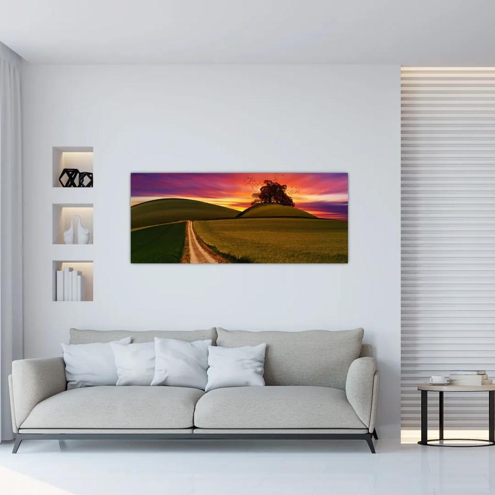 Tablou cu câmp și cerul colorat (120x50 cm), în 40 de alte dimensiuni noi