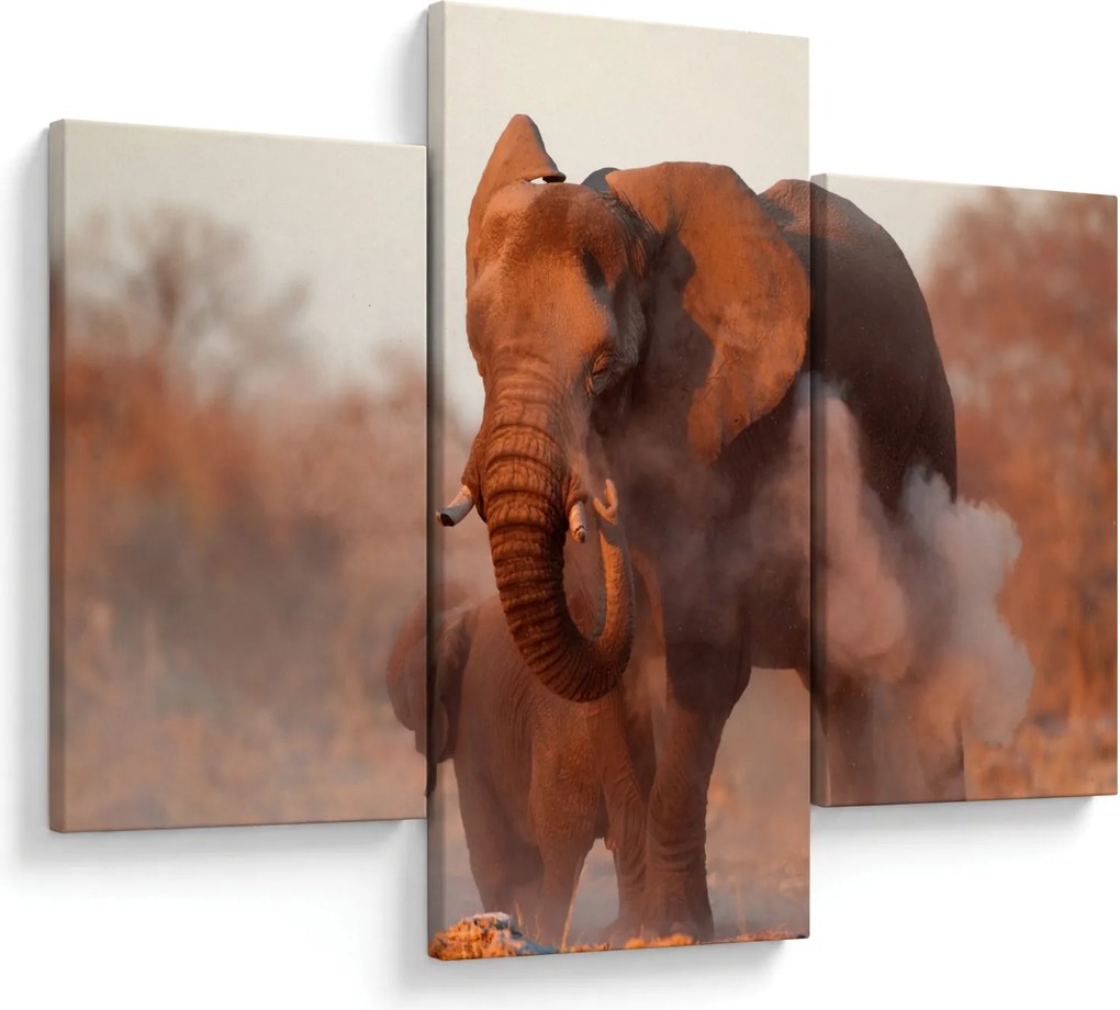 Tablou - Marele elefant african (90x60 cm)
