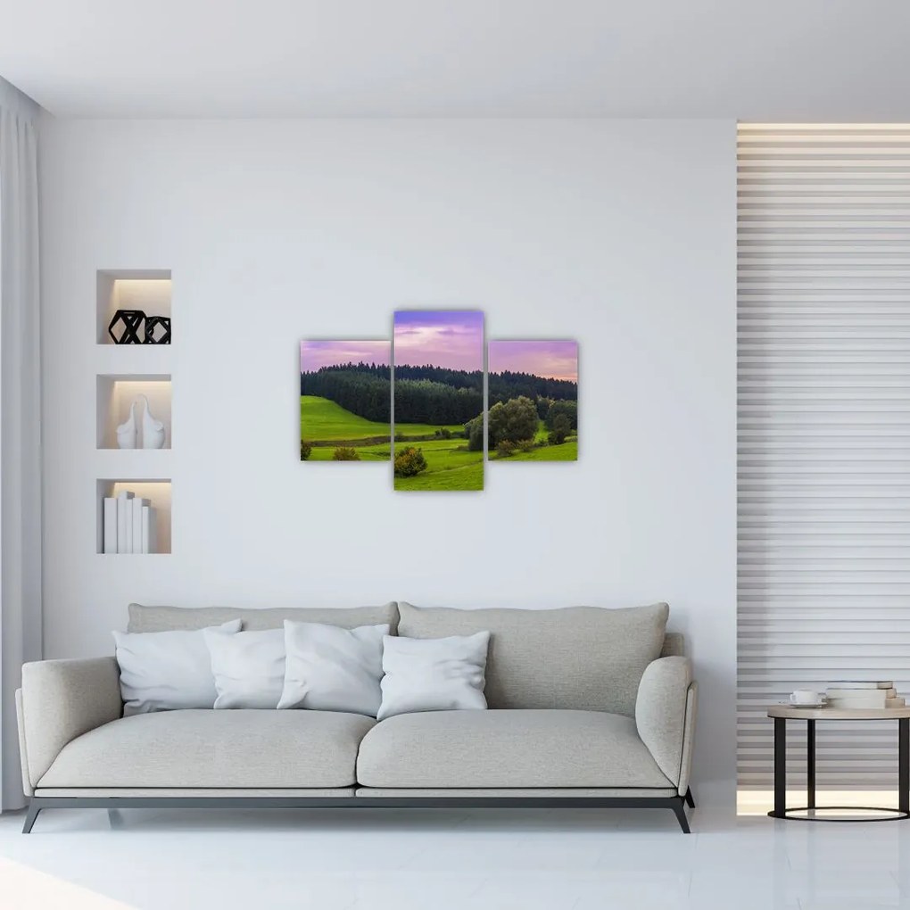 Tablou cu lunca (90x60 cm)