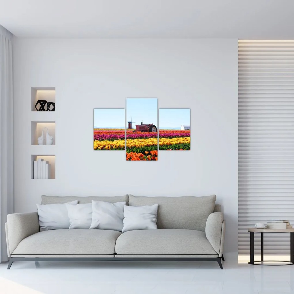 Tablou cu farma de lalele (90x60 cm)