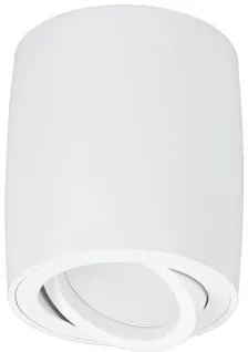 Spot aplicat tavan directionabil GOZZANO alb