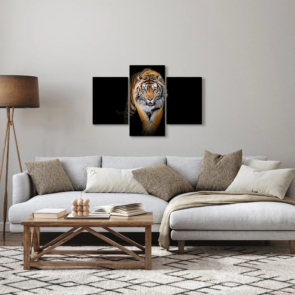 Tablou - Tiger (90x60 cm)